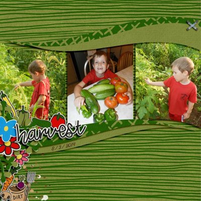 Harvest