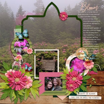 Rhododendron Garden