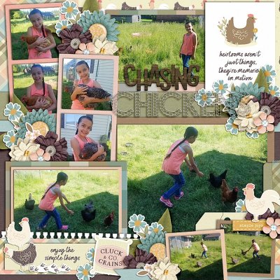 Chasing Chickens