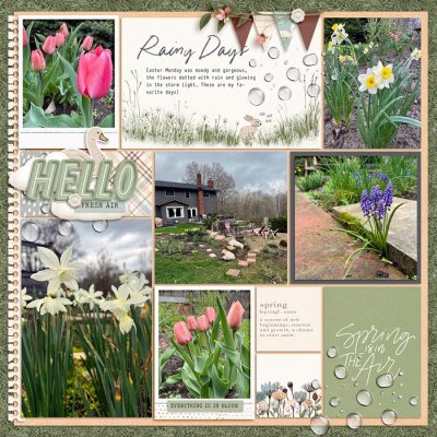 Hello Spring 2025