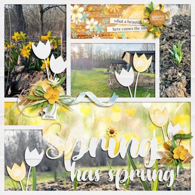 Spring Has Sprung