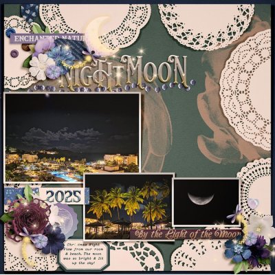 2025_12_Night Moon-babe.jpg