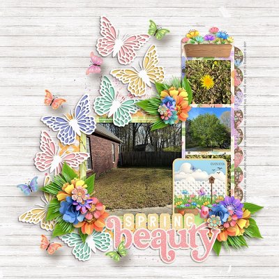 Spring Beauty