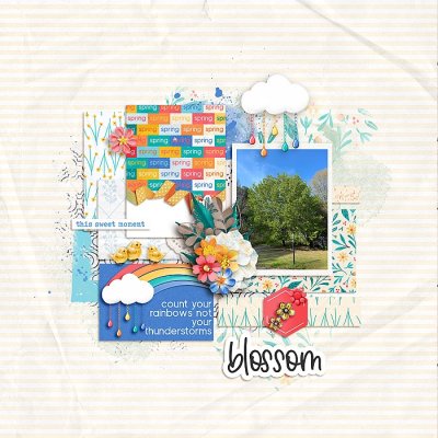 Blossom