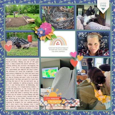 Project Life 2025 week 21 left