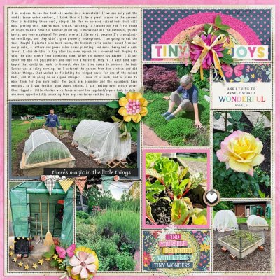 Garden notes 2024 week 22, right