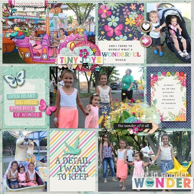 SSD-KL-2015_06-FairFun.jpg