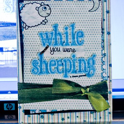 While you were sheeping (hybrid challenge 3.3.09)