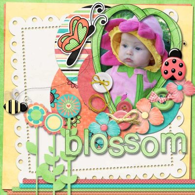 Blossom