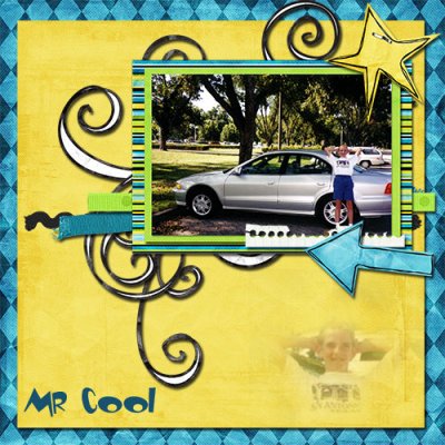 Mr Cool