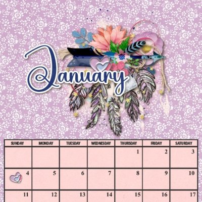 Jan 2026 alt