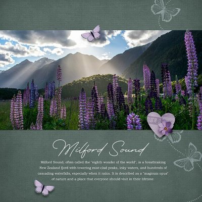 Milford-Sound-700b.jpg