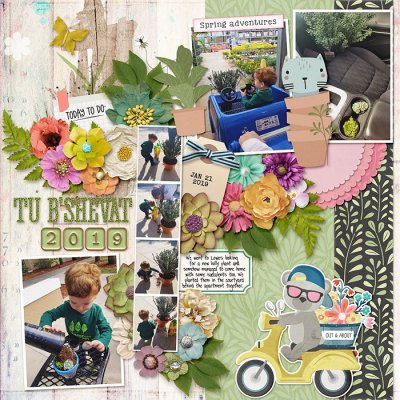 Tu B'Shevat 2019