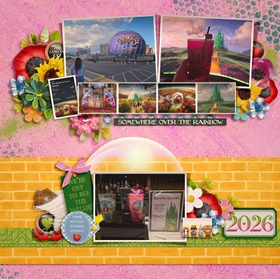 2026_2_Somewhere over the rainbow-babe.jpg