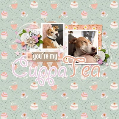 Cuppa tea.jpg