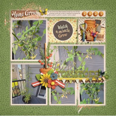 2021_9_Porch Tomatoes-babe.jpg
