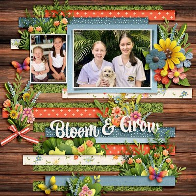 Bloom & Grow