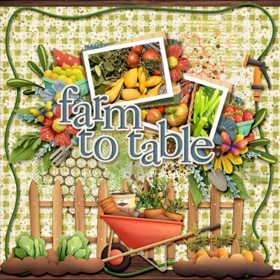 Farm to Table