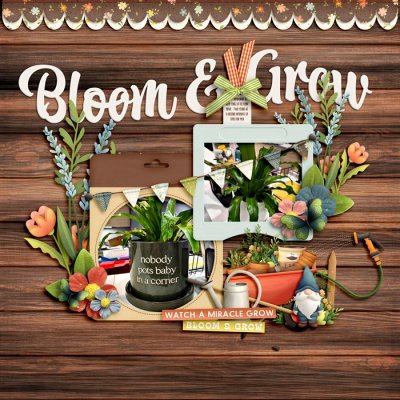 Bloom & Grow