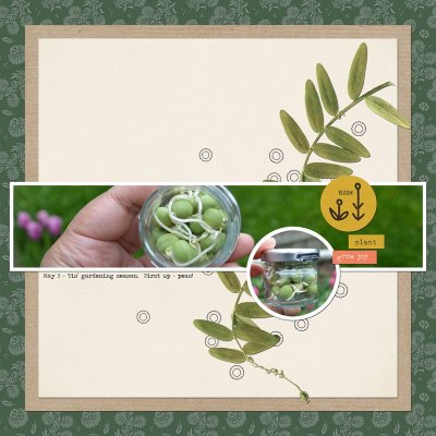 15-Seeds---Panoramic-Photo.jpg