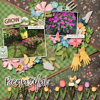 Beautiful Flowers