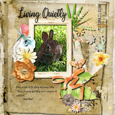 Surprise  Bunnies, butterflies or bees