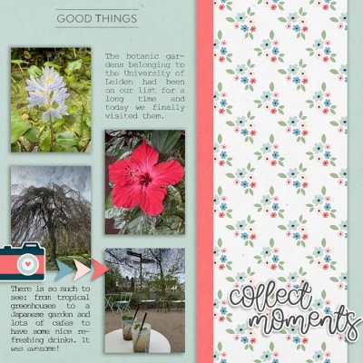 Collect Moments: Spring 2026