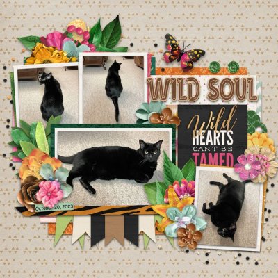 Wild Soul