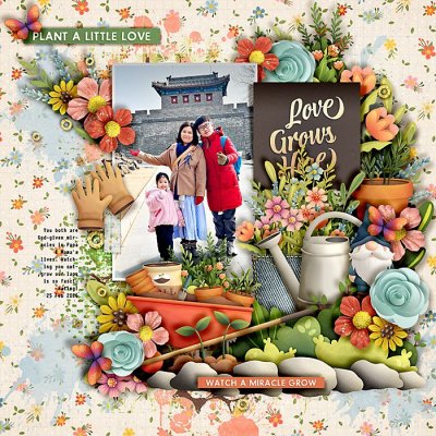 Love grows here