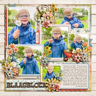 Blaasbloem