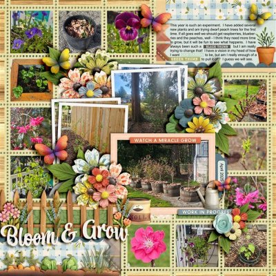 Bloom & Grow 2025