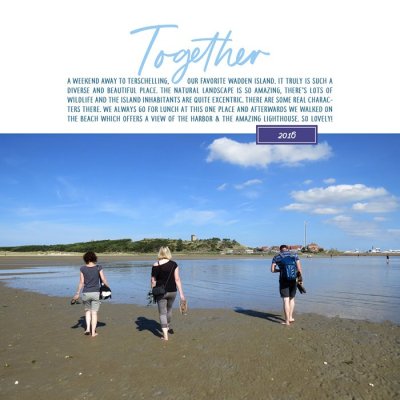 Dutch Wadden Islands: Terschelling #03 (2016)