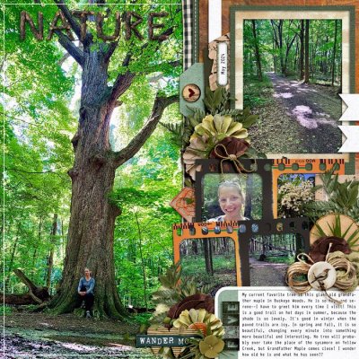 A Favorite Tree