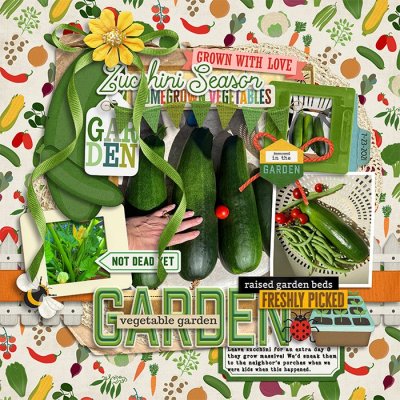 Oversized Garden Zucchini.jpg