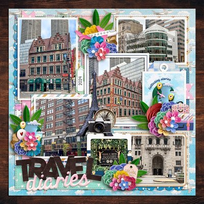 Travel Diaries