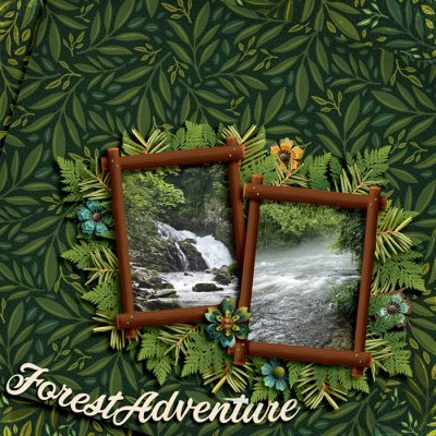 Forest Adventure