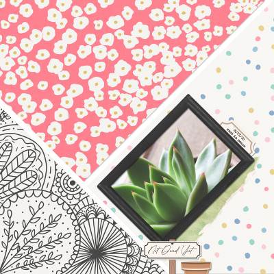 Paper to Digi Scraplift iNSD 2026