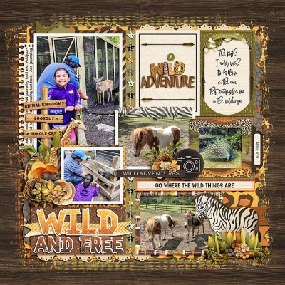 Wild And Free