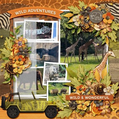 Wild and Wonderful