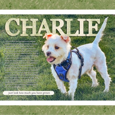 Charlie