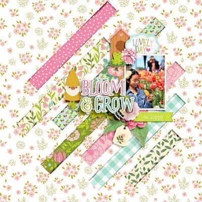 bloom & grow