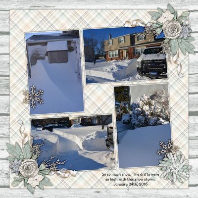 2016-1-24-snow