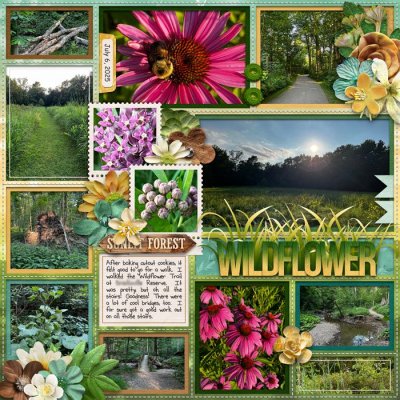 Wildflower (left)