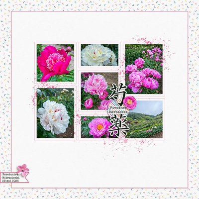 Peonies 2026