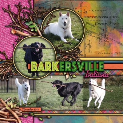 Barkersville
