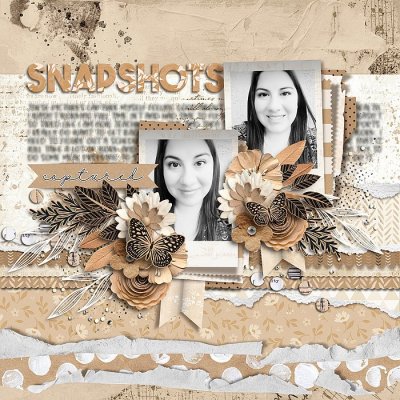 Snapshots