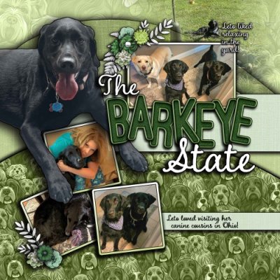 The Barkeye State