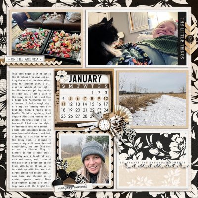 2026 Project Life week 2, left