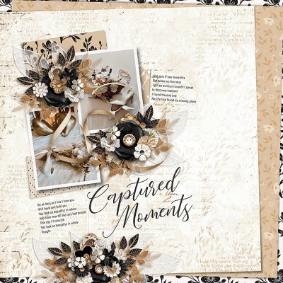 Captured Moments