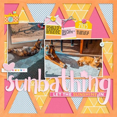2025-Animals-Sunbathing-copy.jpg